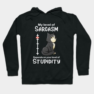 My Level Of Sarcasm Funnny Cat Lover Hoodie